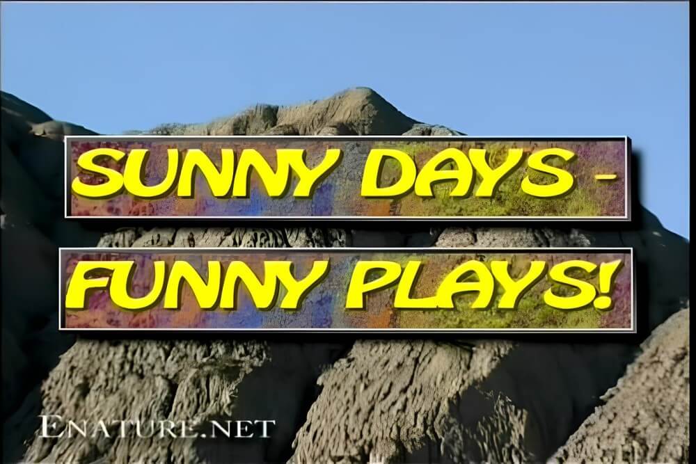 Enature - Sunny Days – Funny Plays - She went out completely naked