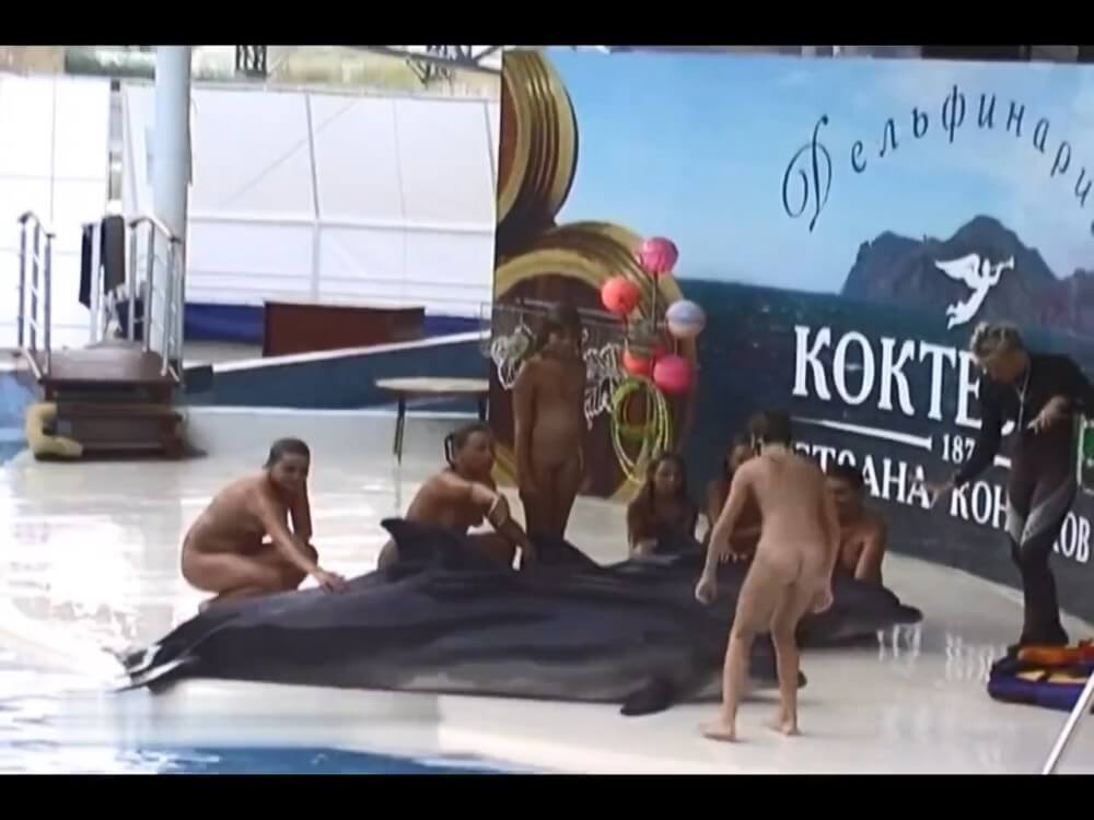 Relaxing at the dolphinarium - Public nudism